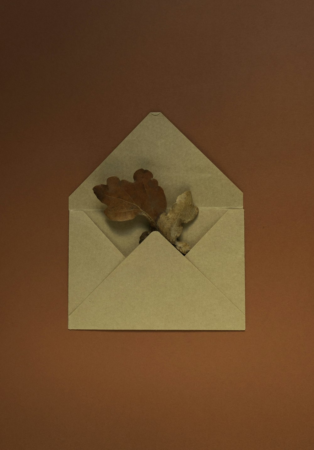 an envelope with a leaf sticking out of it