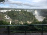 A stunning view of the Iguazu Falls surrounded by greenery.