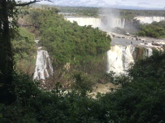 A scenic landscape of the lush rainforest surrounding the falls.