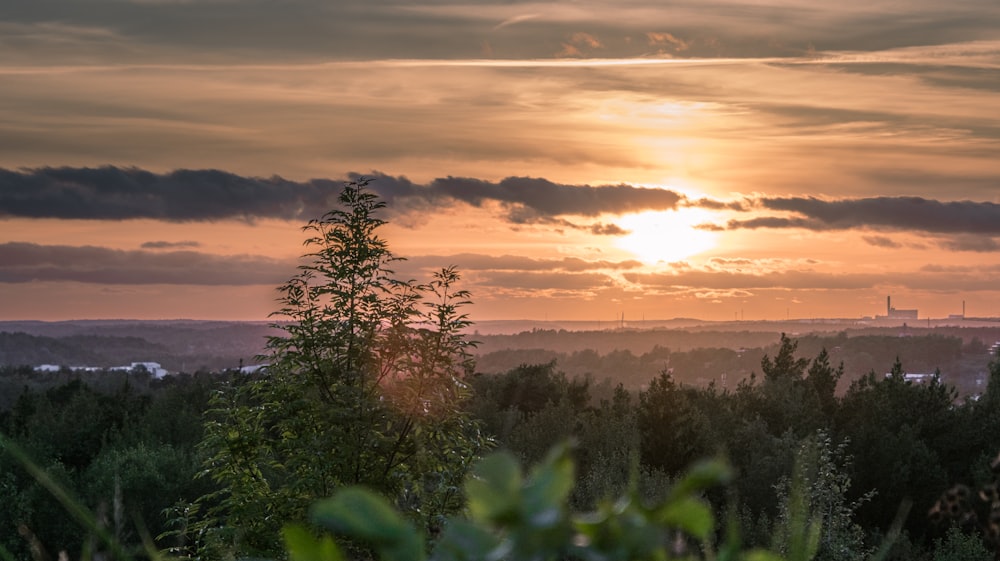 the sun is setting over the trees in the forest