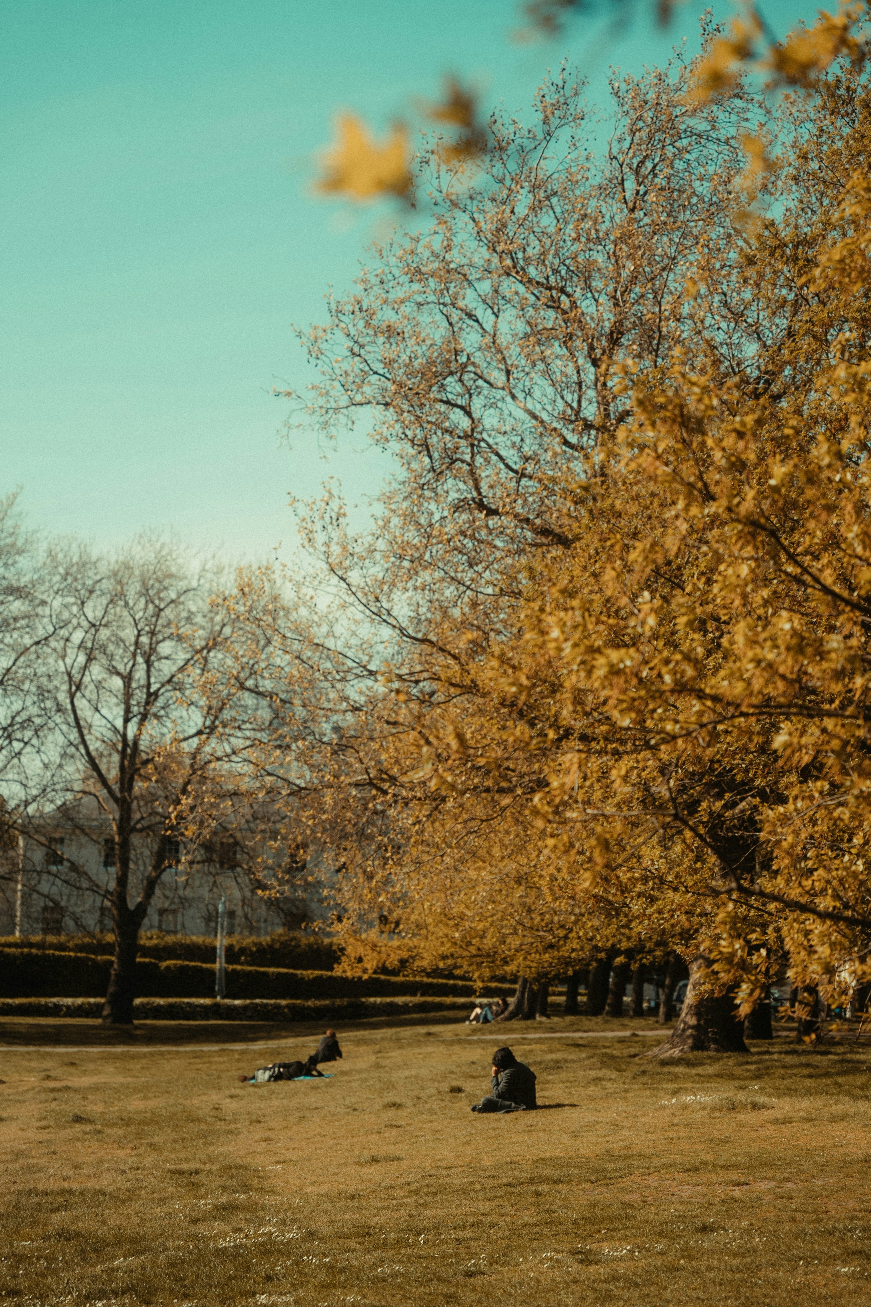 Photo by bryanbrittos