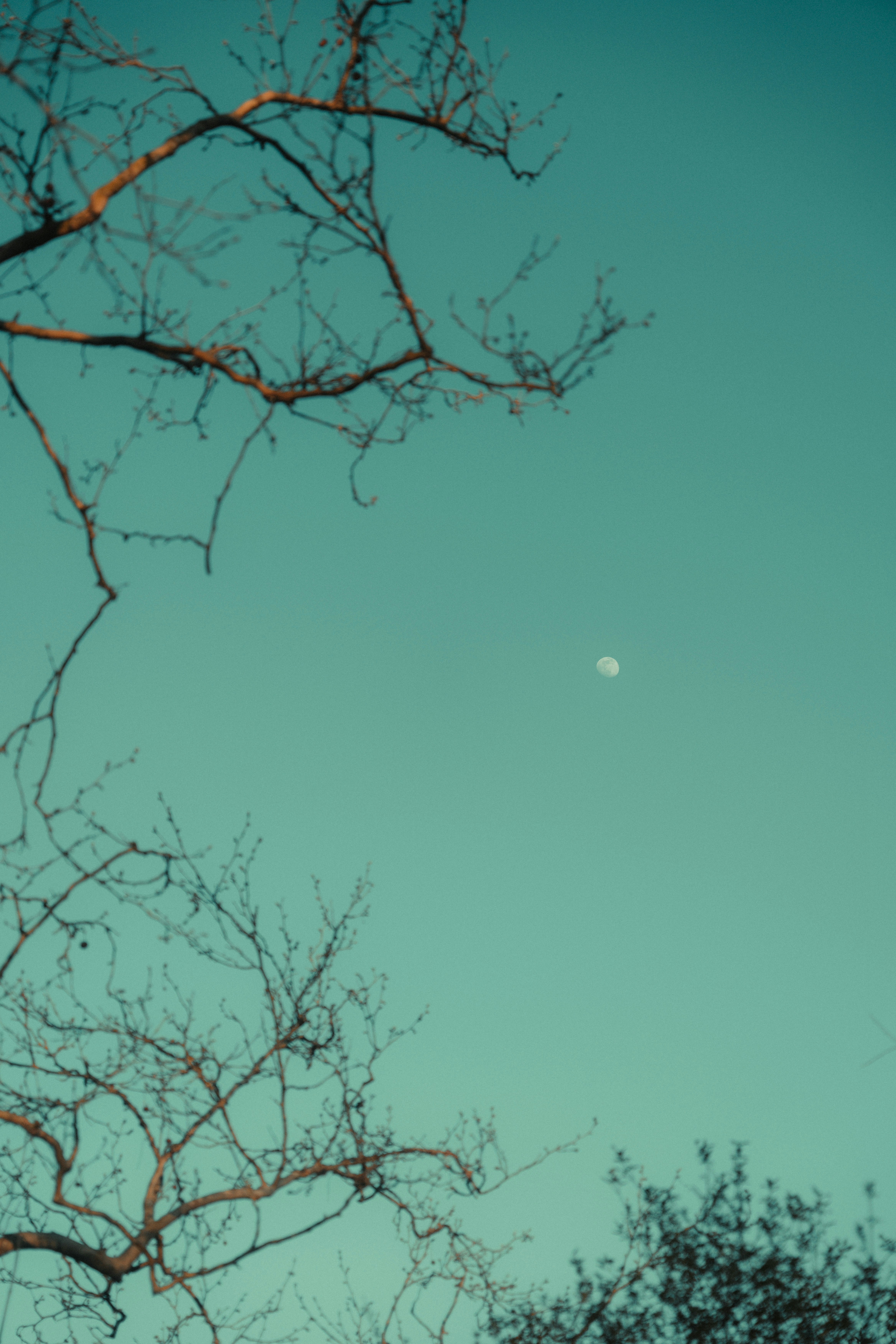 Photo by bryanbrittos