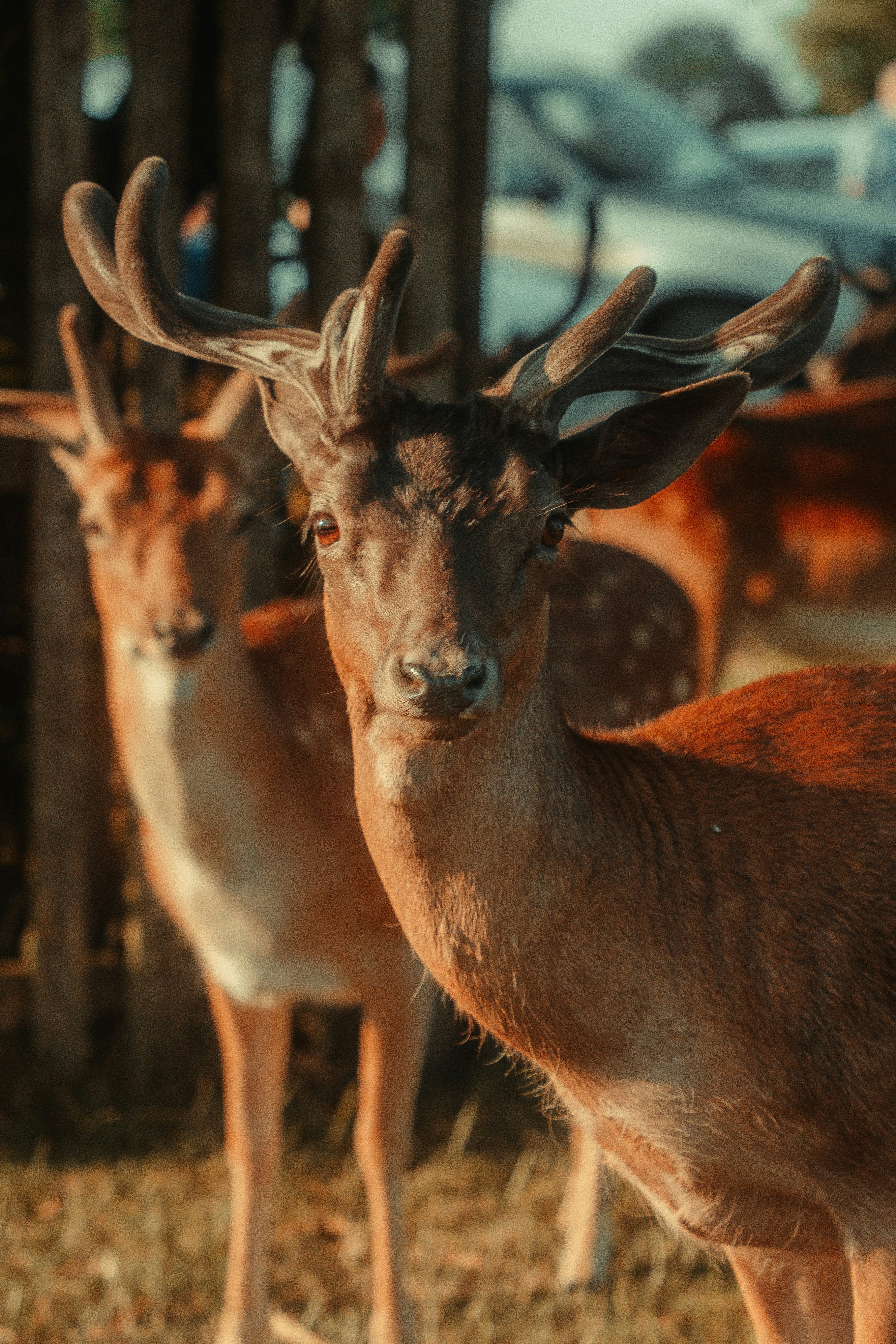 Photo by bryanbrittos