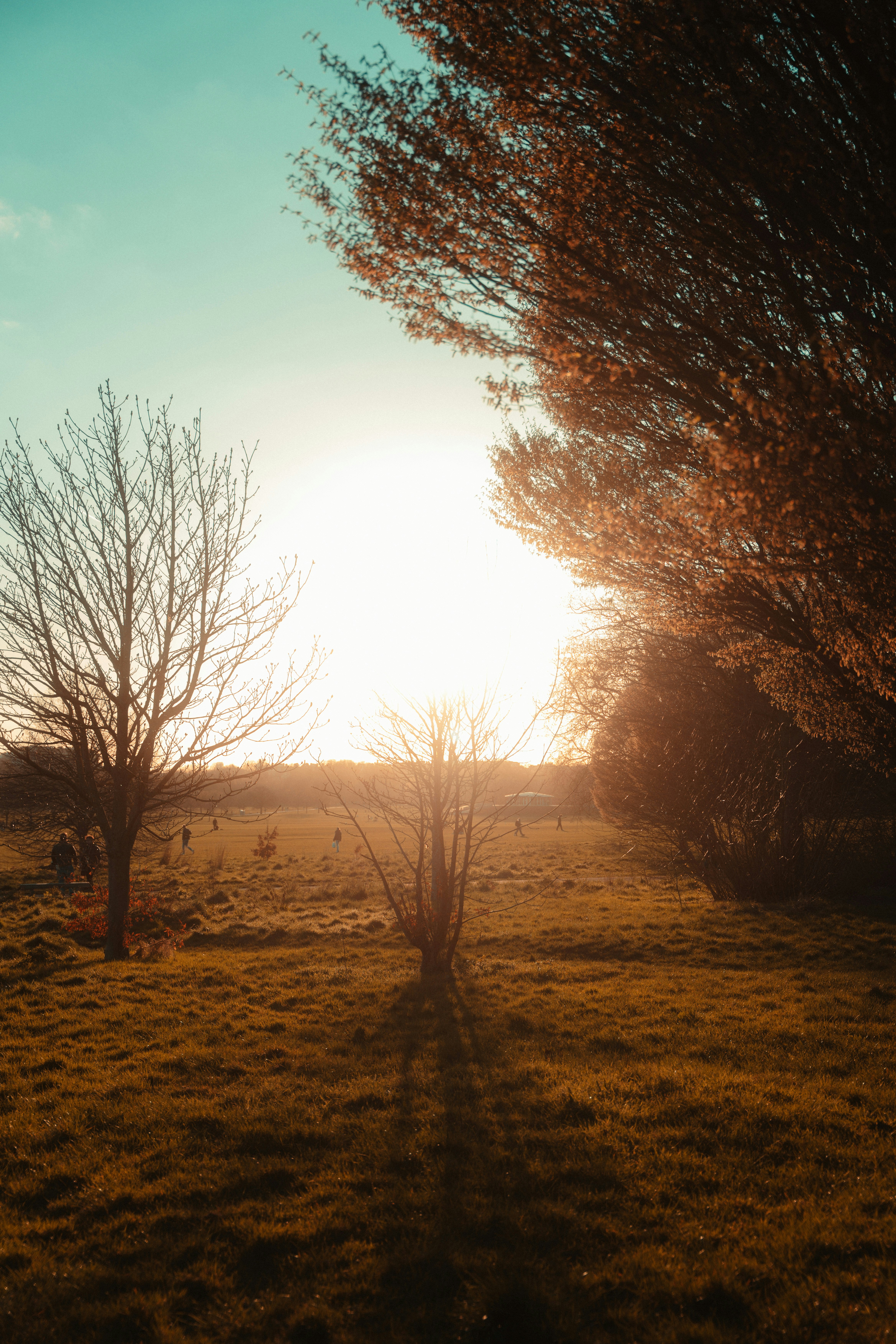 Photo by bryanbrittos