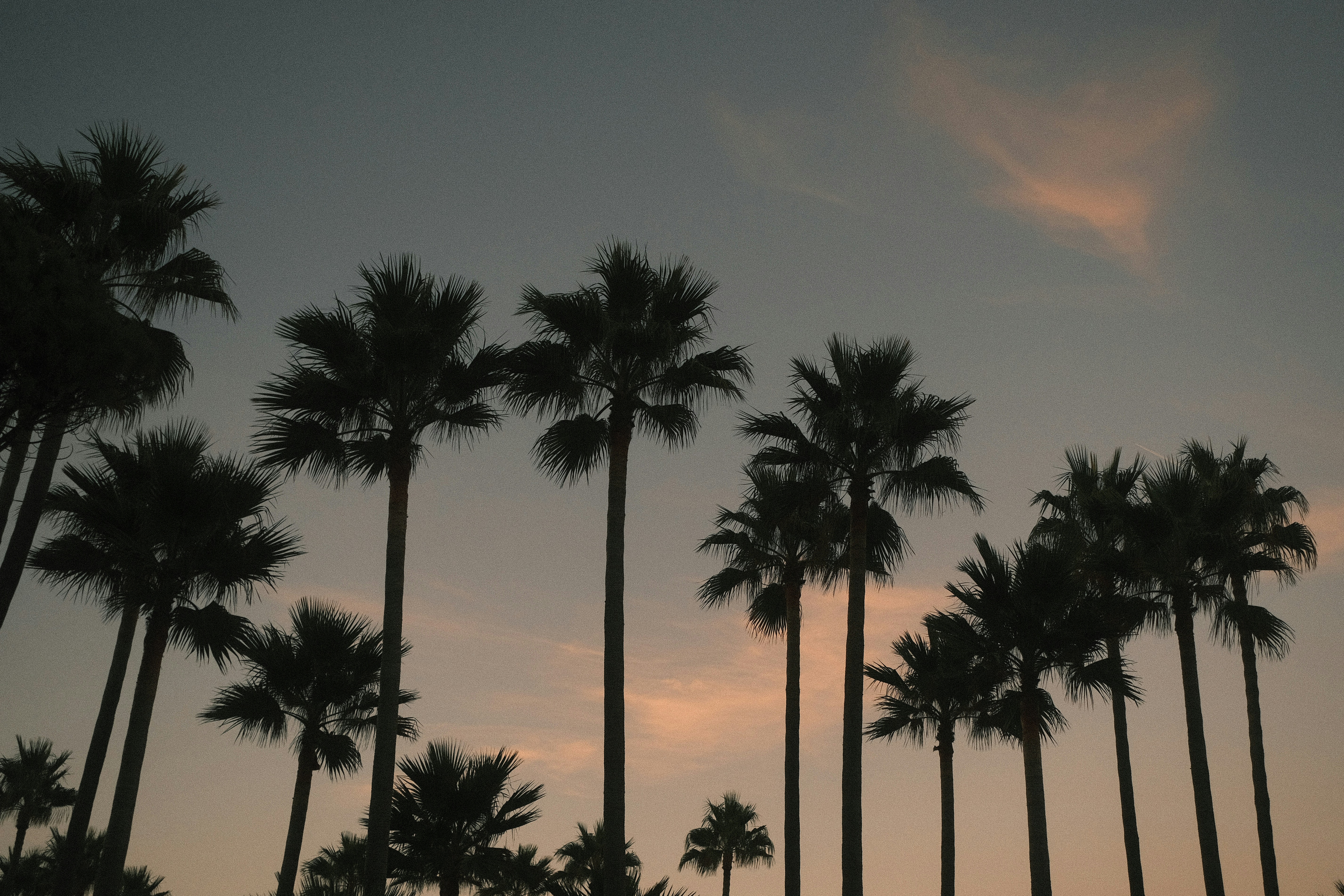 Photo by visualsbying