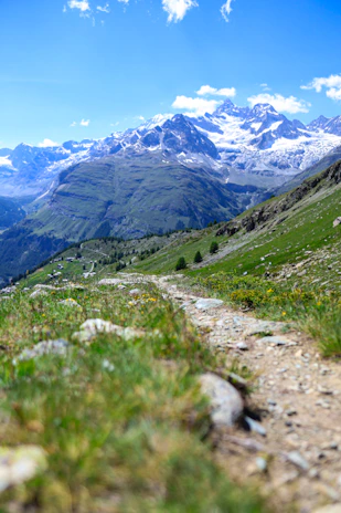Snow-capped mountain peaks under a clear blue sky with a winding hiking trail.