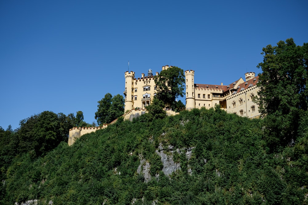 um castelo no topo de uma colina cercada por árvores