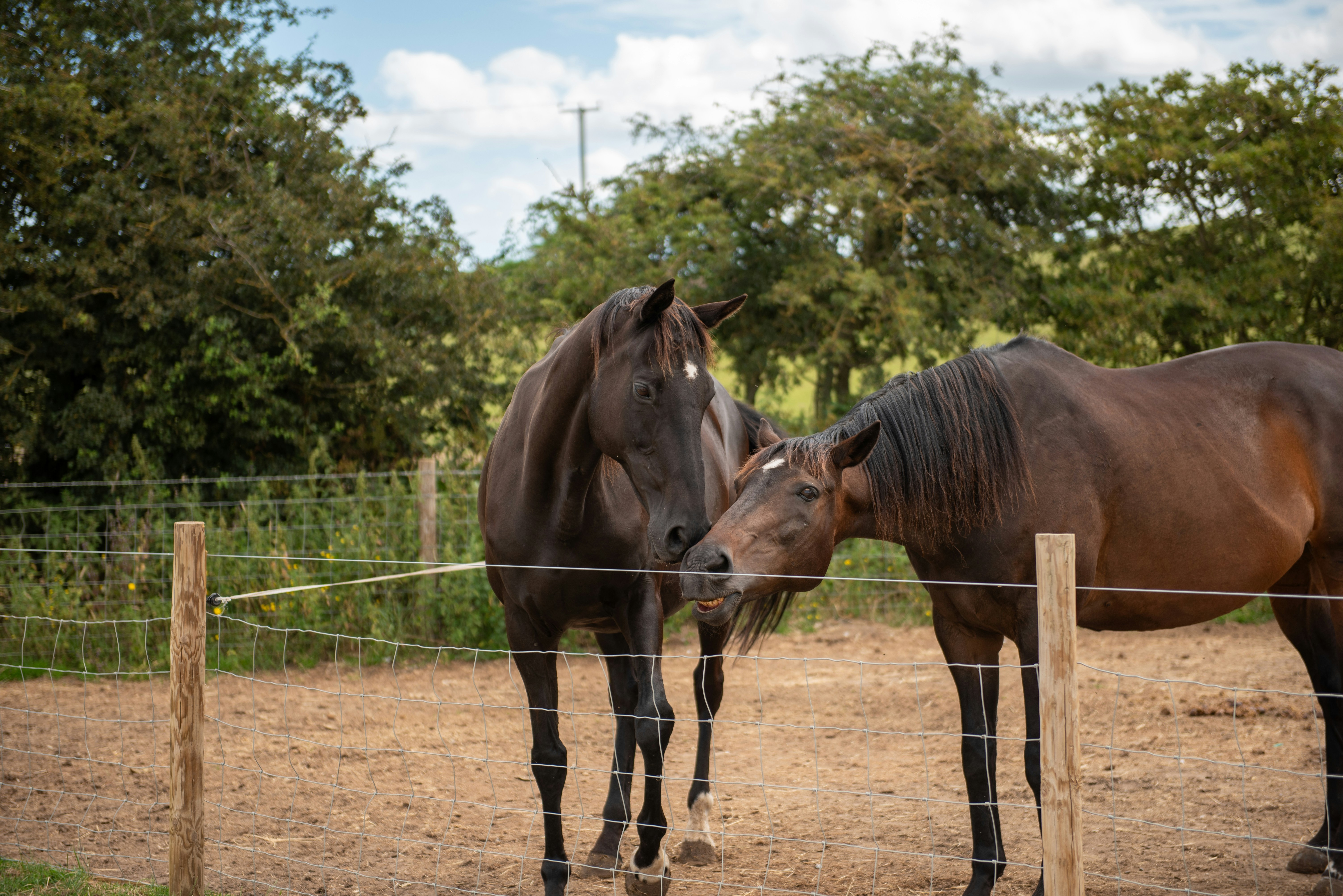 Photo by vaivagallery2022