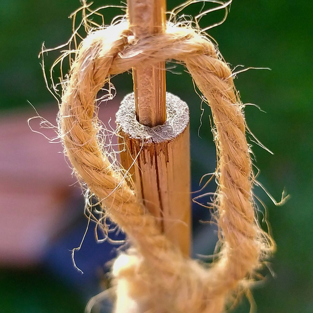 a close up of a rope on a pole