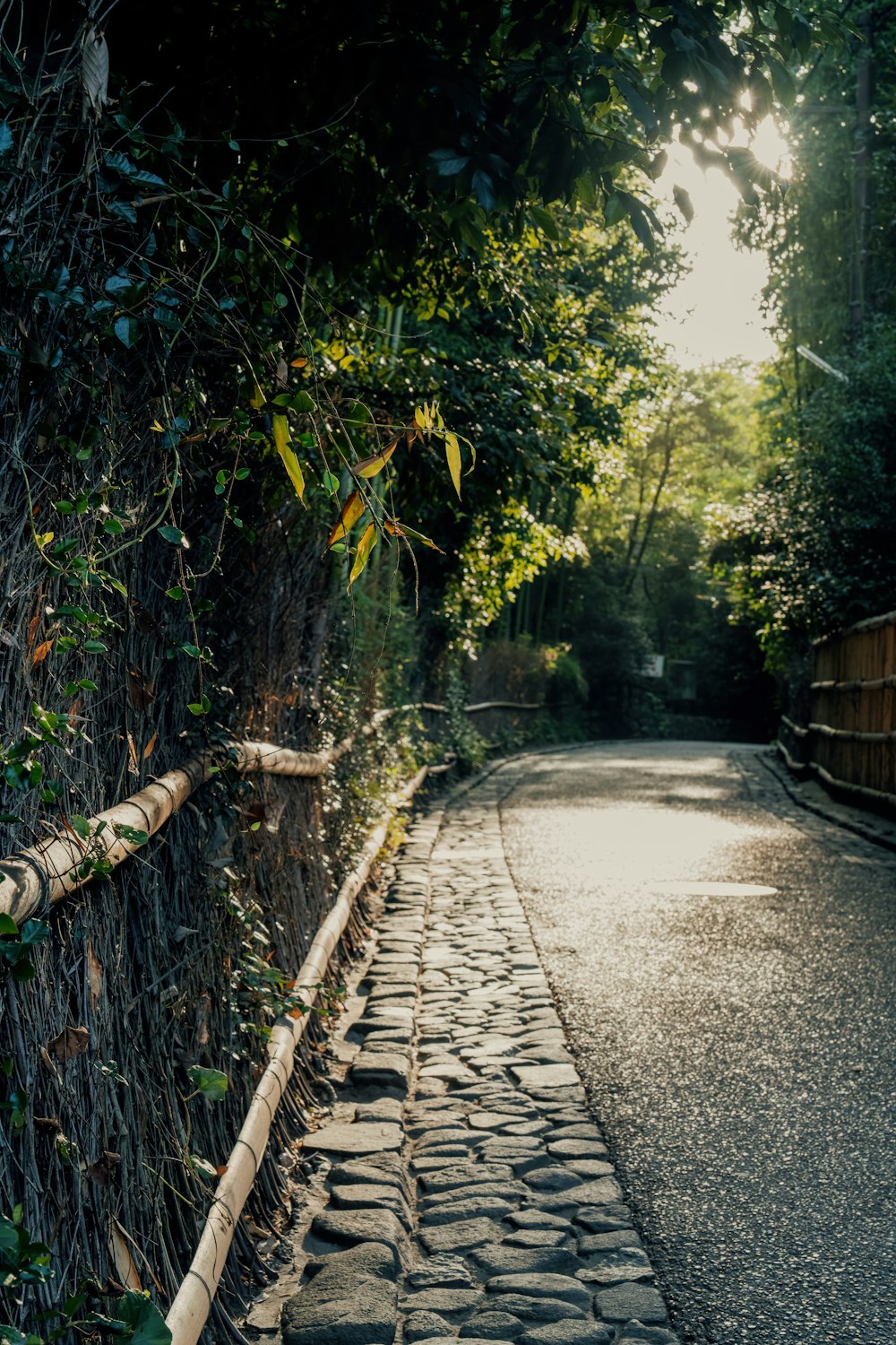 a street with a stone path and a fence