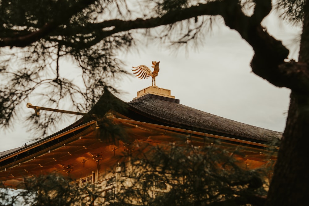 a bird on top of a roof with lights