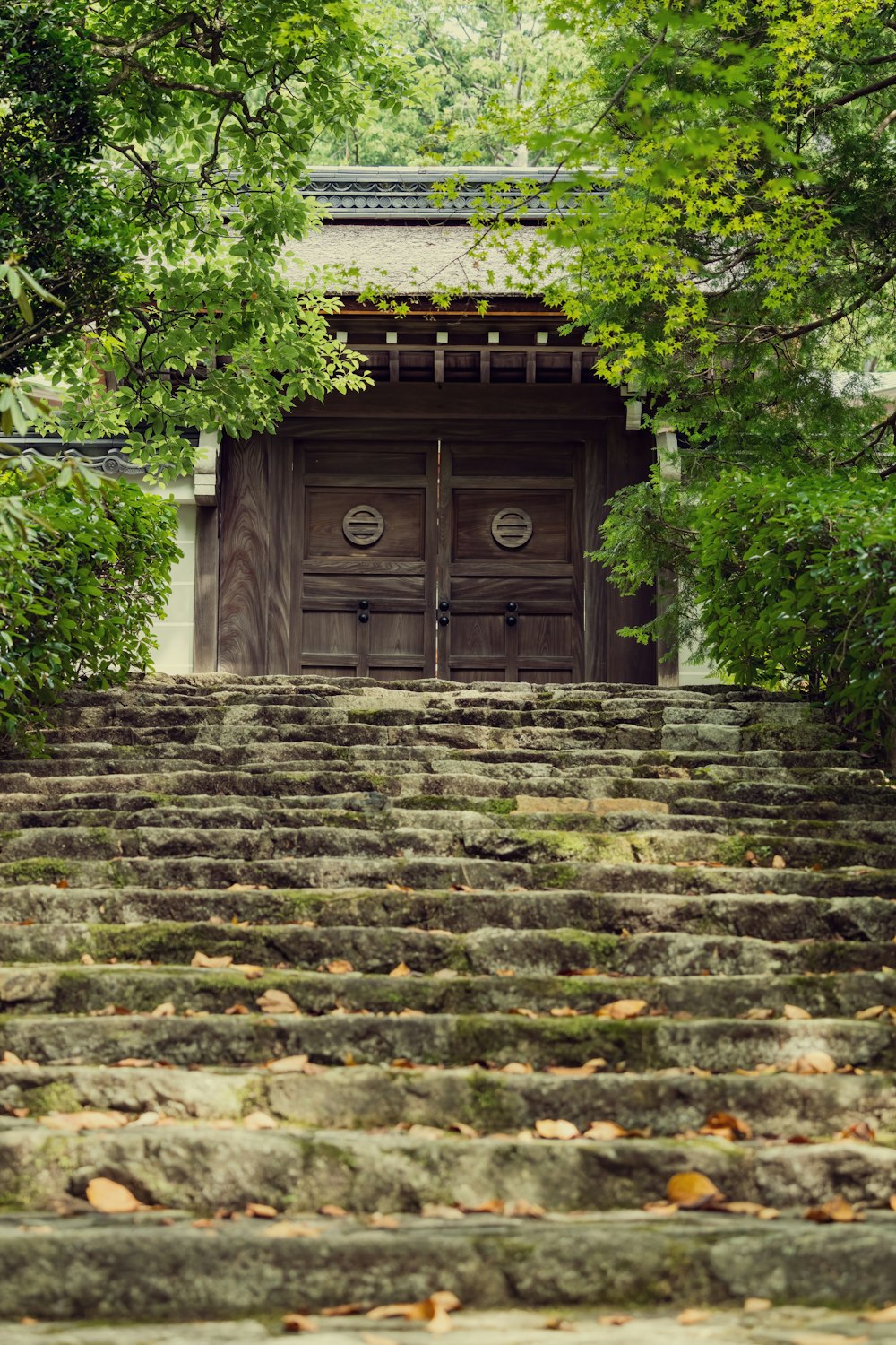 a set of steps leading up to a wooden door