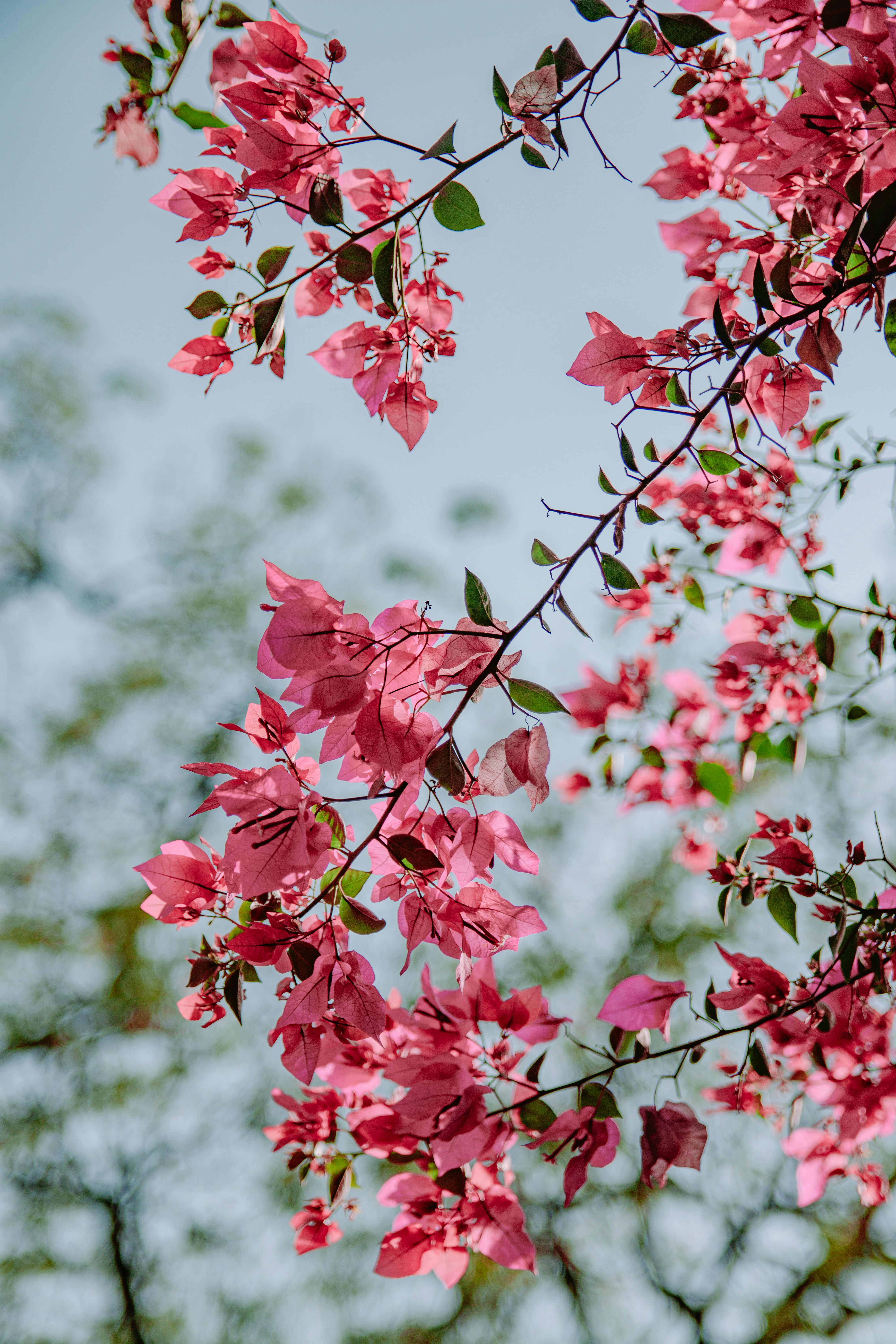 Photo by tamojitbardhan