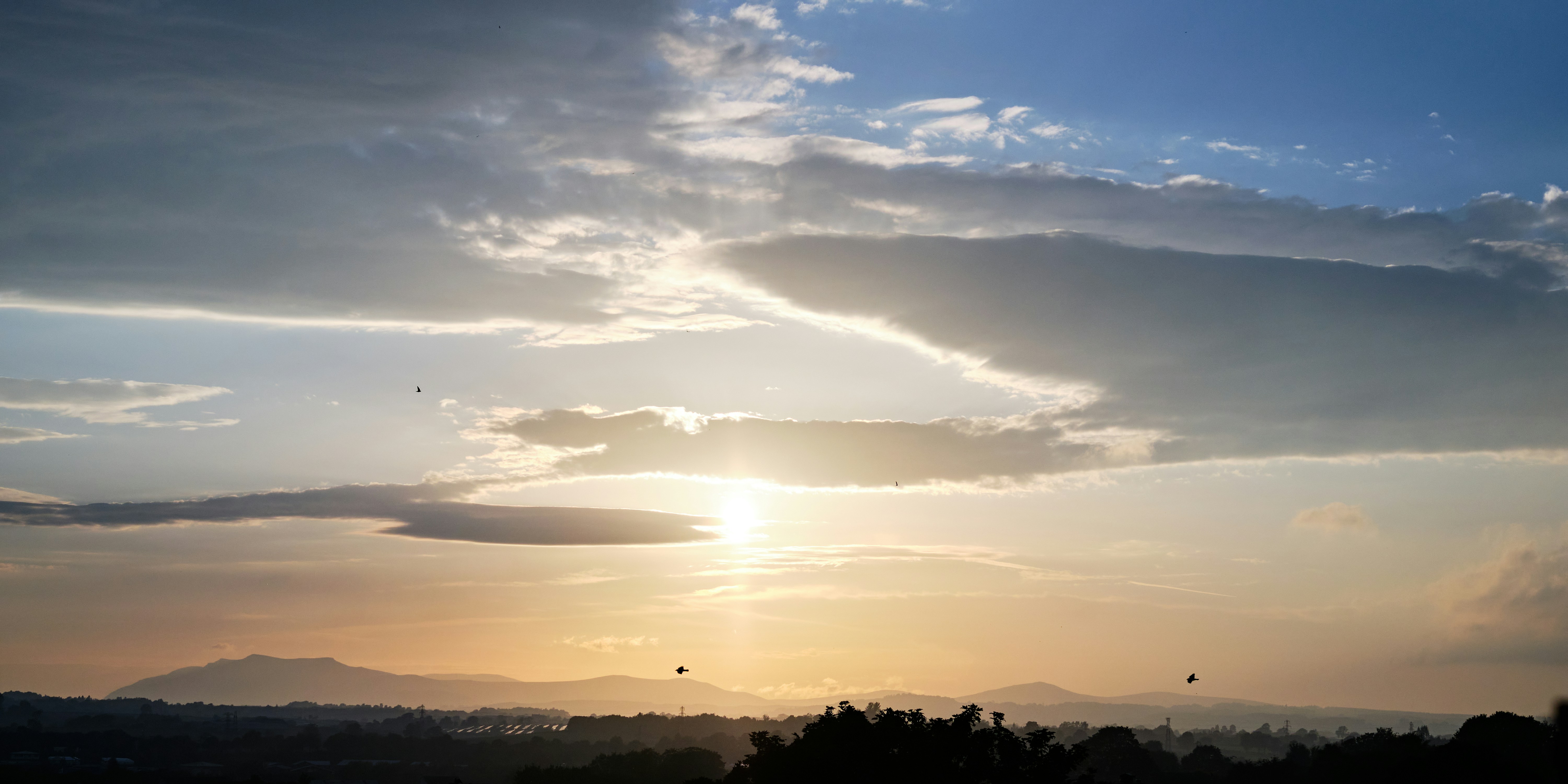 Photo by frostroomhead