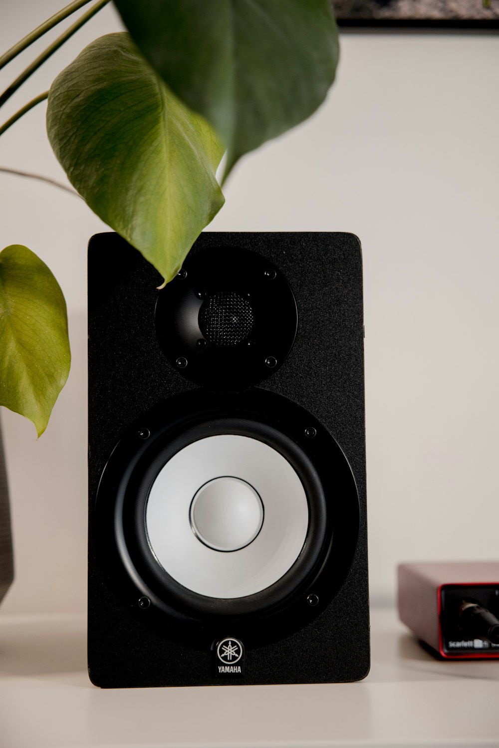 a black speaker sitting on top of a table next to a plant