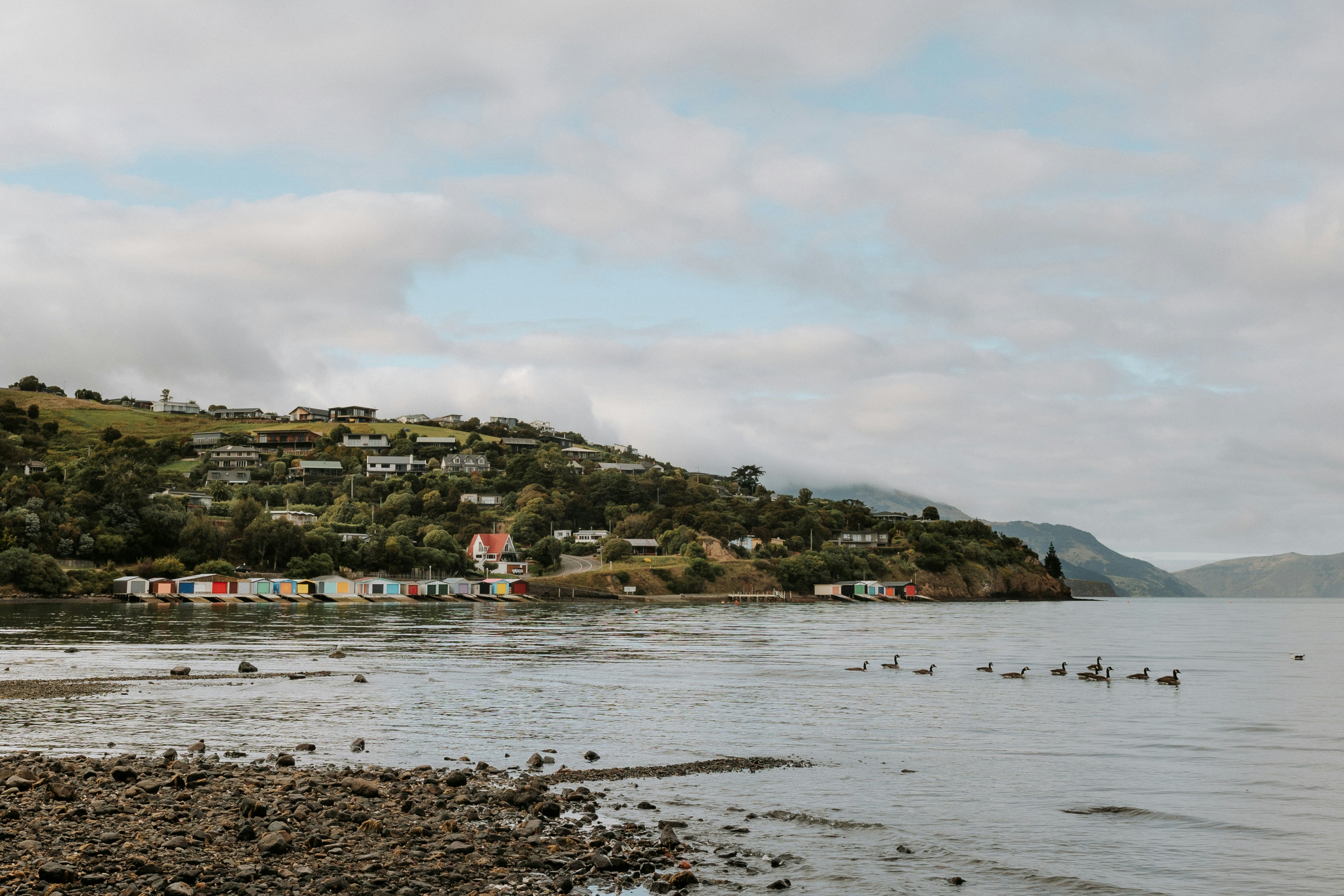 Photo by coastlinephoto