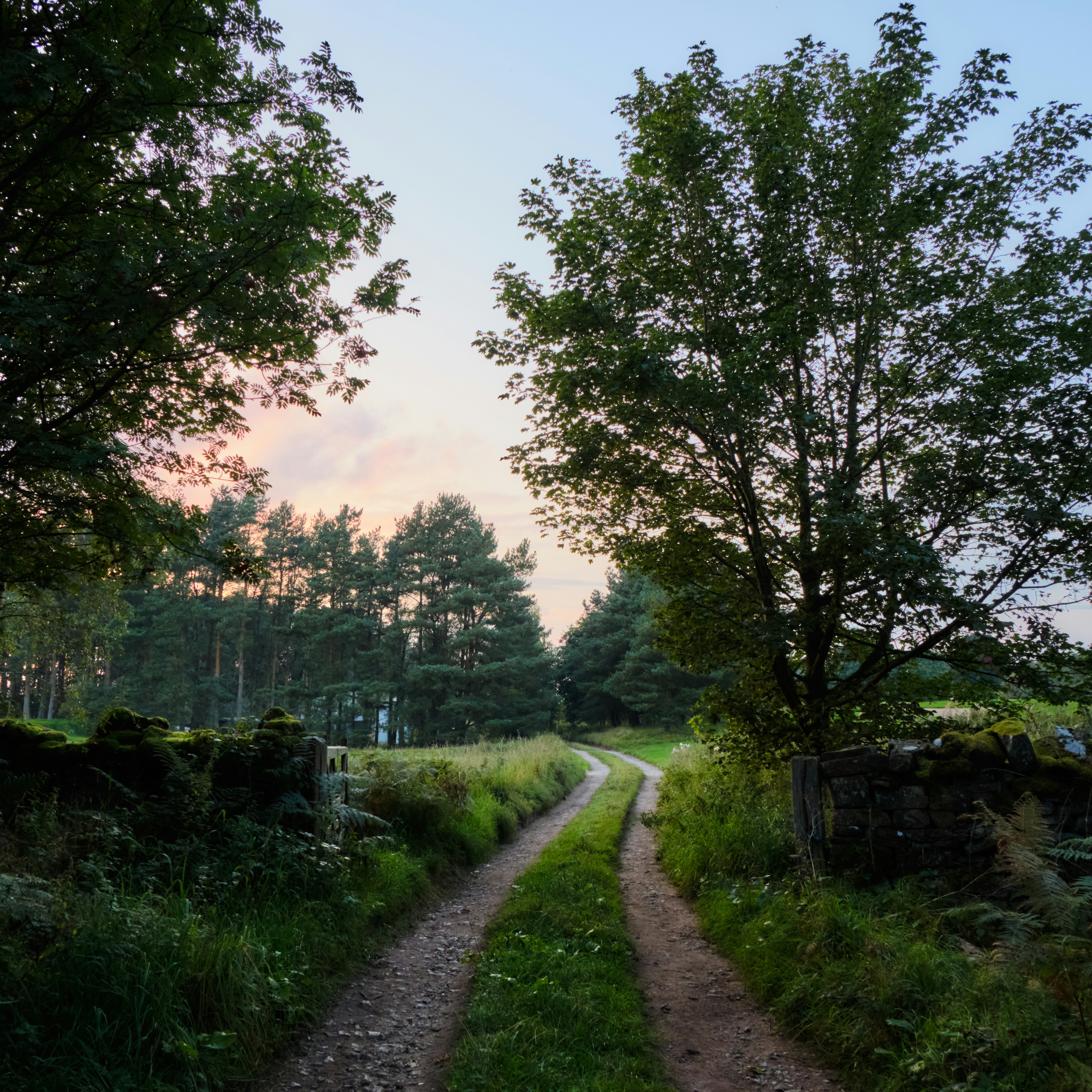 Photo by frostroomhead