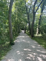A peaceful forest pathway surrounded by tall, leafy trees. Sunlight filters through the canopy, creating dappled shadows on the gravel path. The area is lush with green foliage and conveys a sense of tranquility.