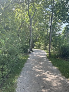A tranquil wooded path surrounded by lush greenery with sunlight filtering through the leaves. A wooden bench sits along the side of the pathway, inviting a moment of rest amidst nature.