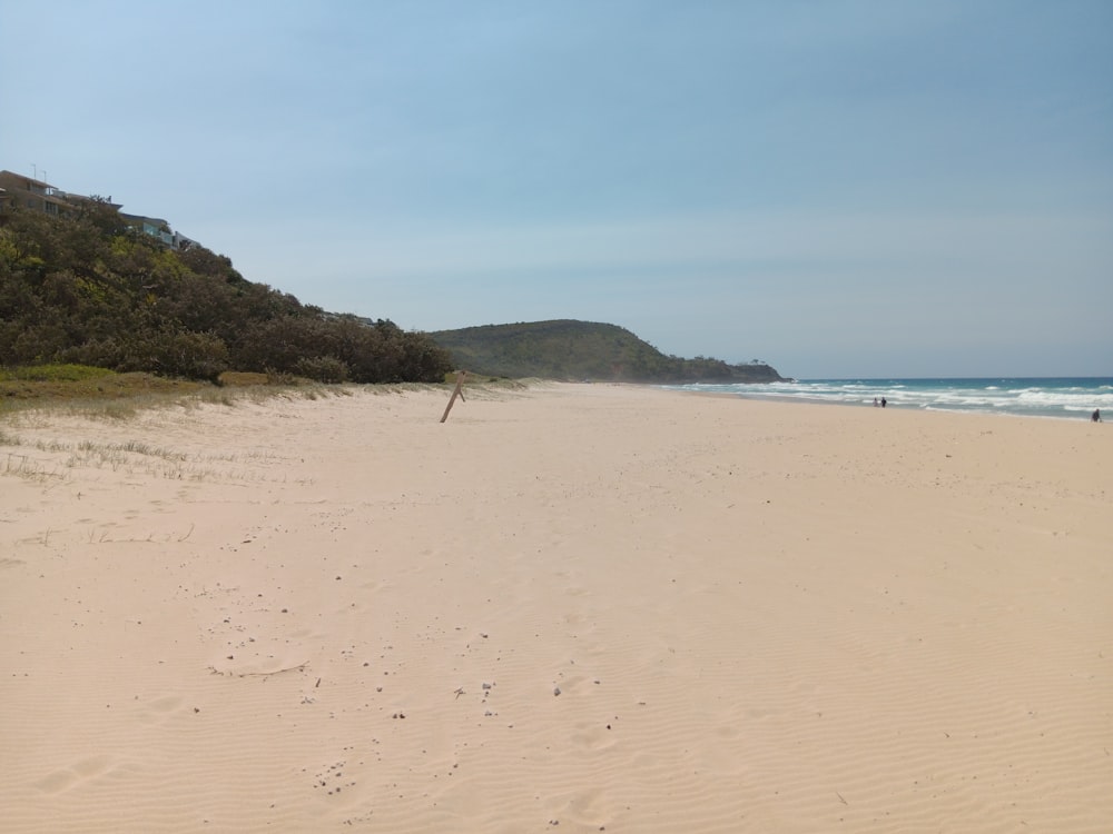 a sandy beach with a hill in the background