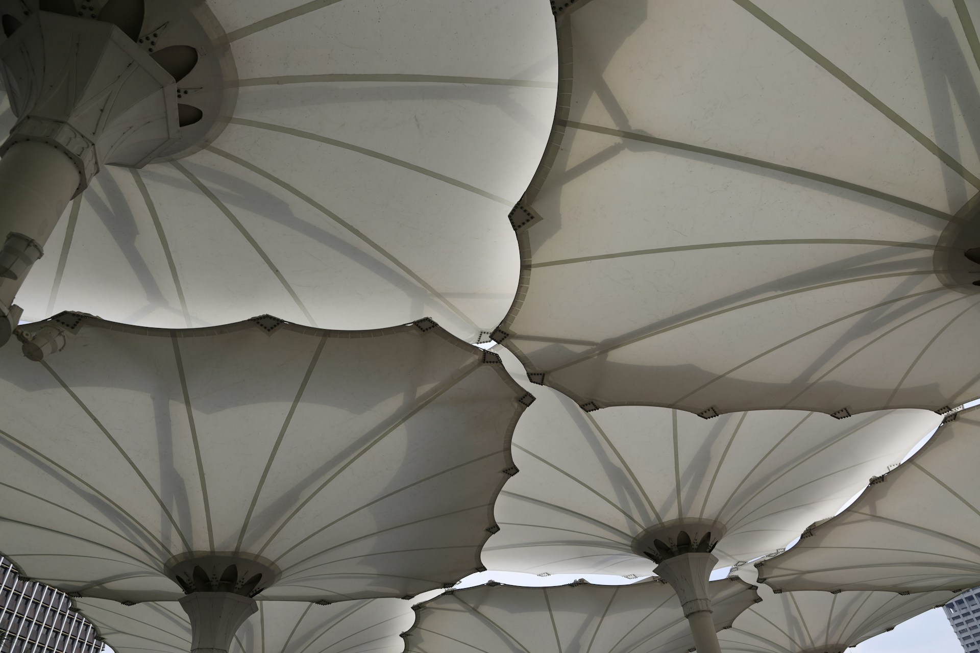 a bunch of umbrellas that are in the air