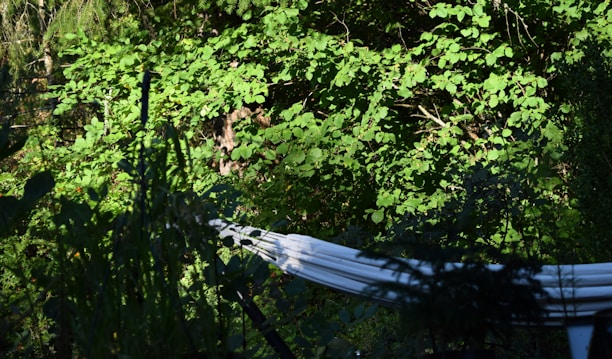 Cozy hammock area surrounded by lush greenery and colorful flowers.