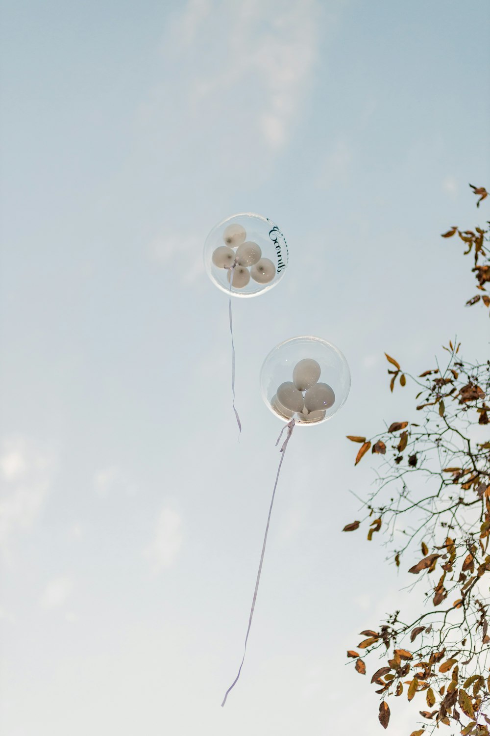 a couple of balloons floating in the air