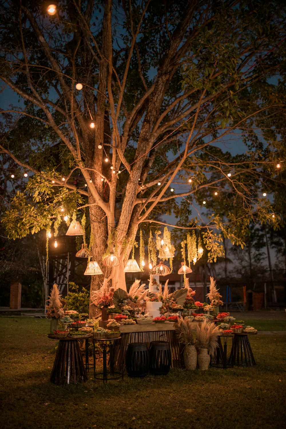 a table is set up under a tree with lights