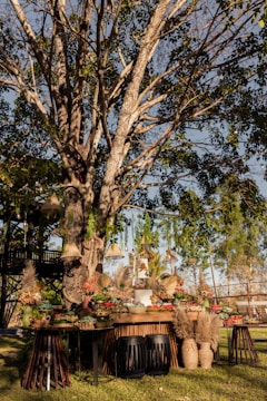 A large tree with sprawling branches provides a backdrop for a table adorned with decorative items. The setup includes an assortment of potted succulents, baskets, and vases filled with pampas grass. Hanging from the tree are various rustic lampshades and decorations. The scene is set outdoors, surrounded by green foliage and grass.
