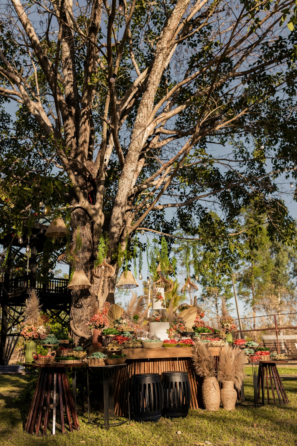 a large tree with lots of potted plants on top of it