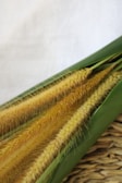 A vibrant display of wheat grains in a burlap sack.