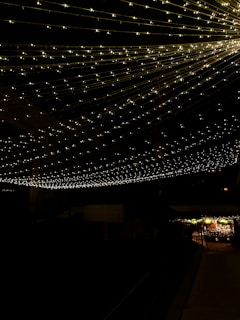 Soft fairy lights draped around the picnic area, creating an intimate and magical atmosphere.