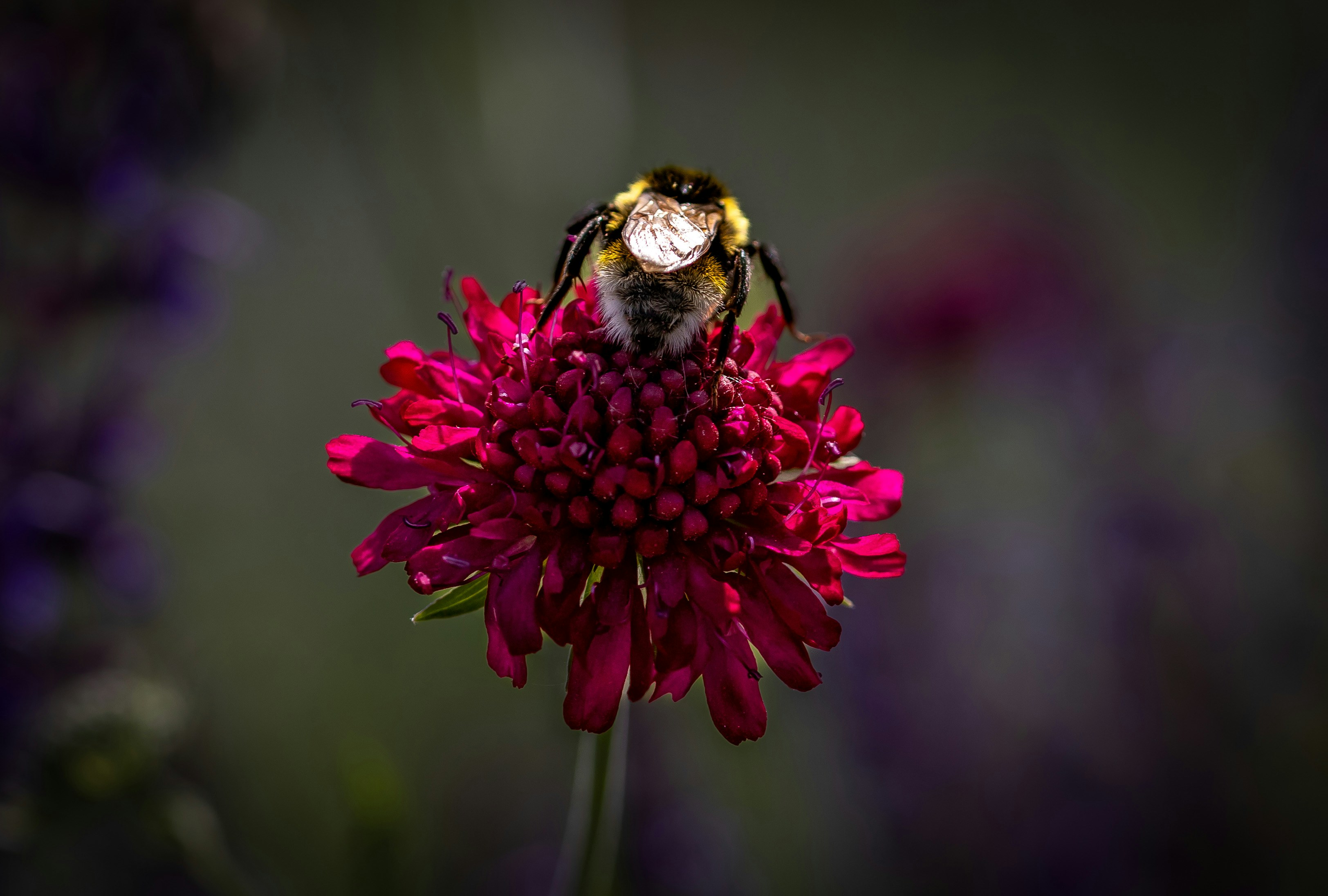 Photo by hdbernd