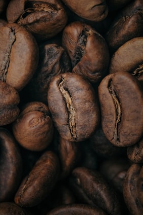 A close-up view of roasted coffee beans showcasing their smooth texture and rich brown color. The beans are displayed in varying orientations, highlighting their natural curves and cracks.