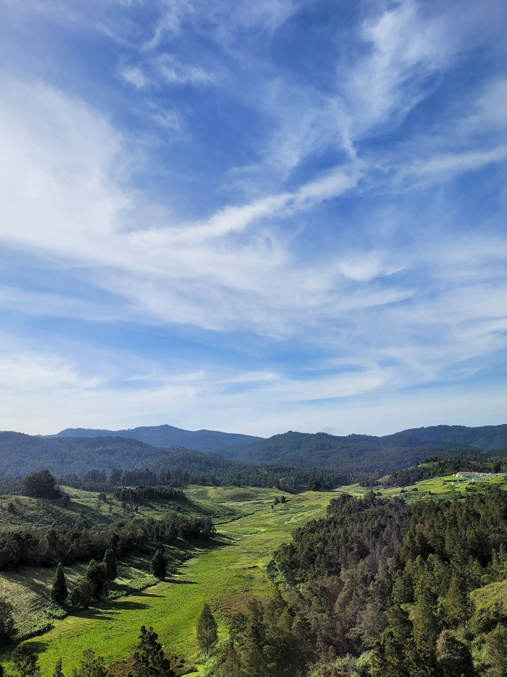 a view of a lush green valley with mountains in the distance