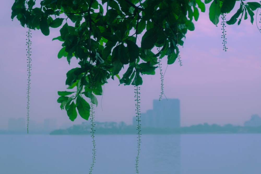 a view of a body of water with a building in the background