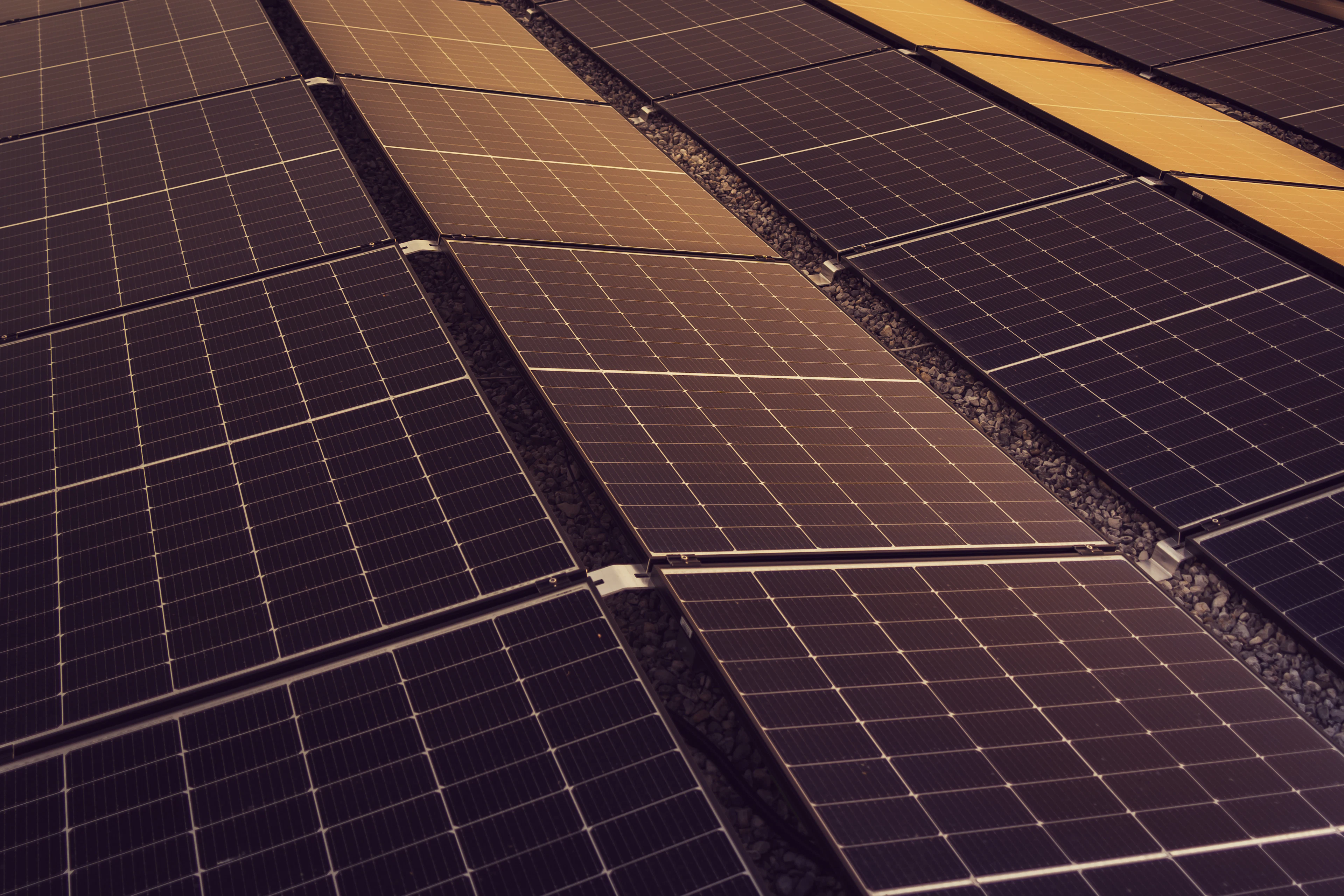 Rangées de panneaux photovoltaïques sur un toit