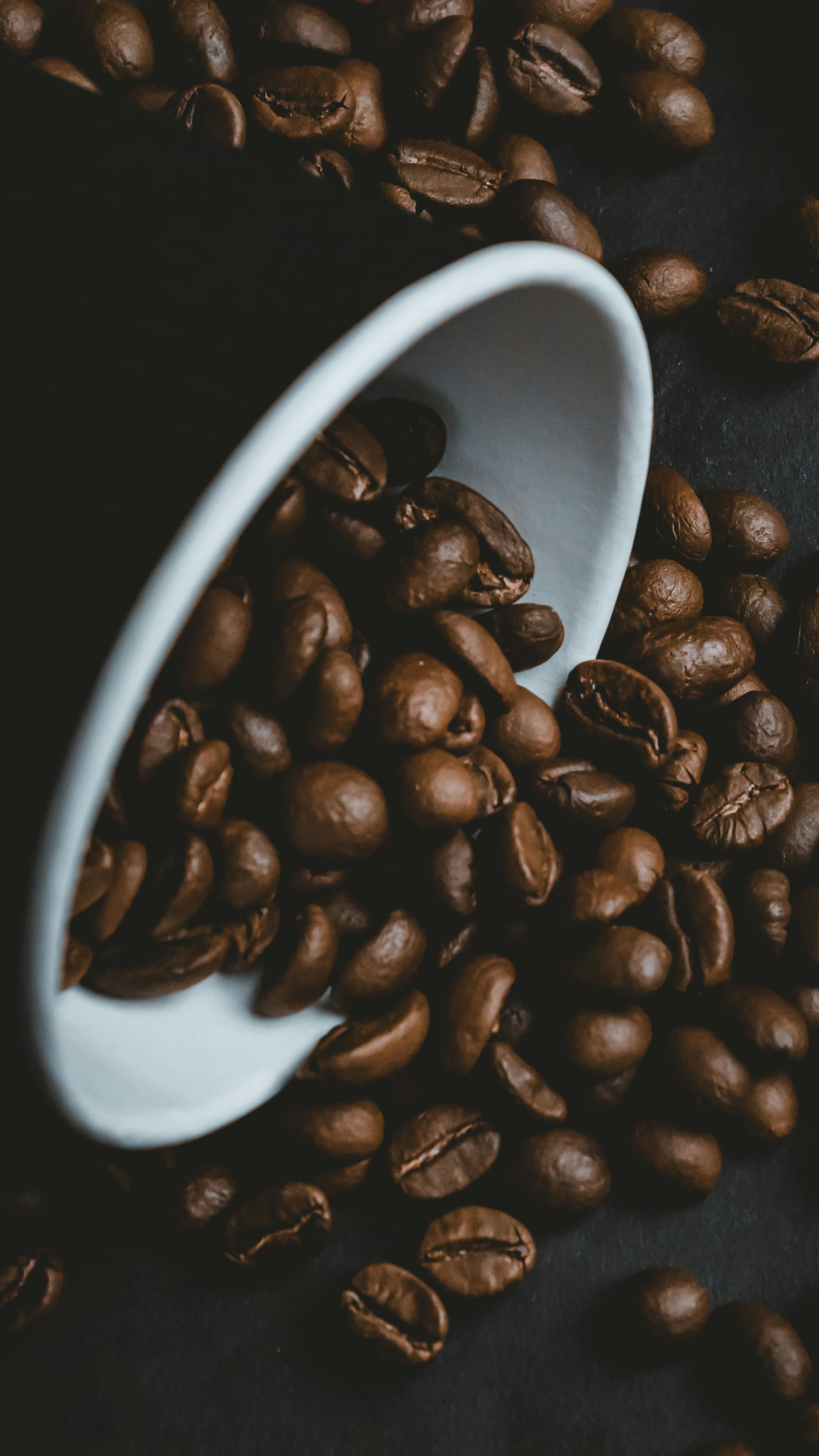 Photo by phant0meyes