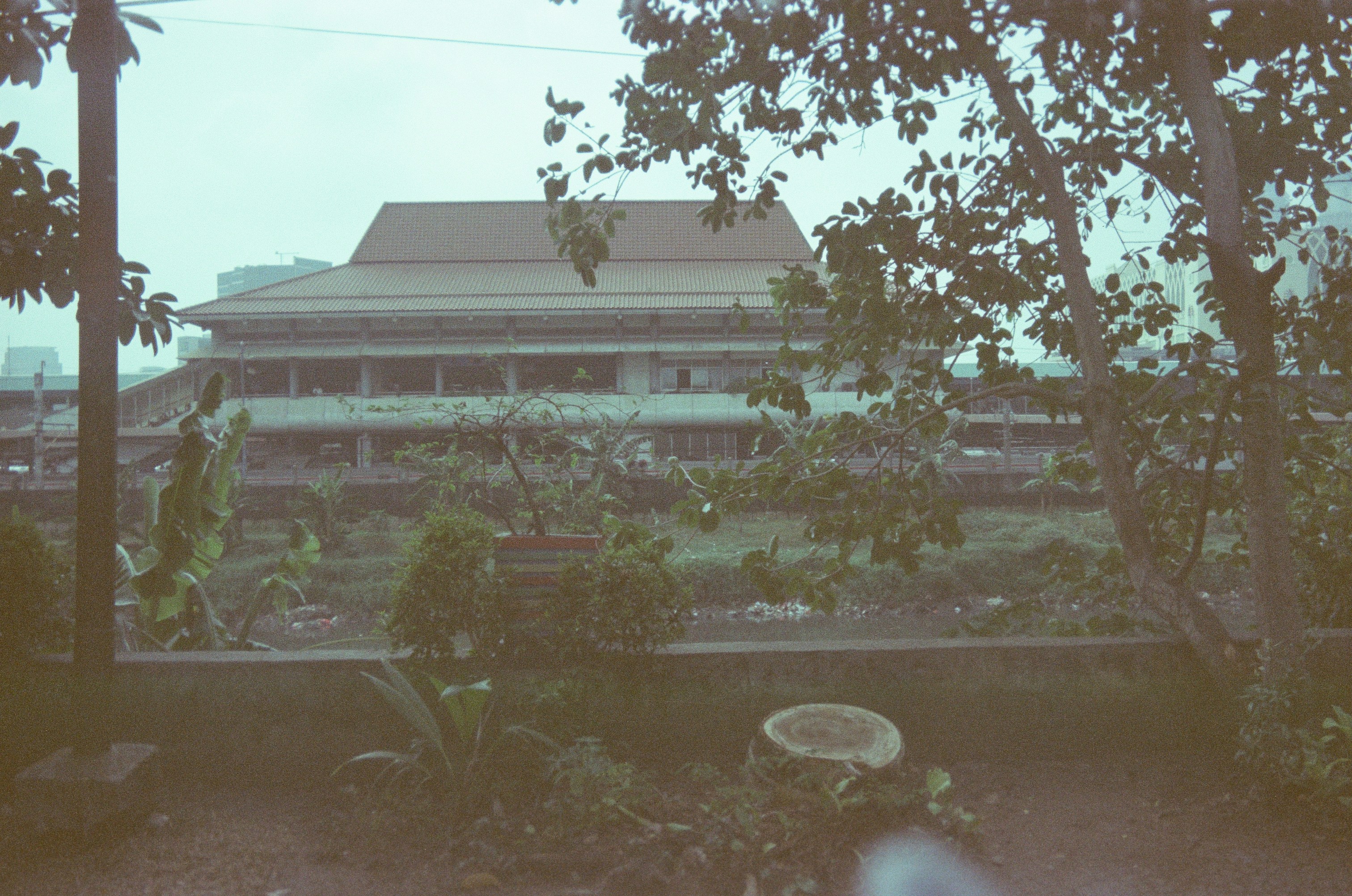 Photo by fahansaf