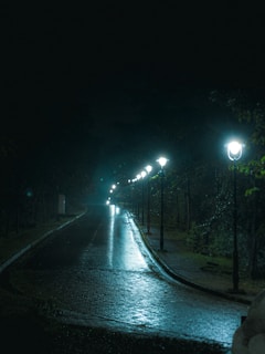 A wide shot of an empty street at night, illuminated by a lone streetlamp, evoking solitude.