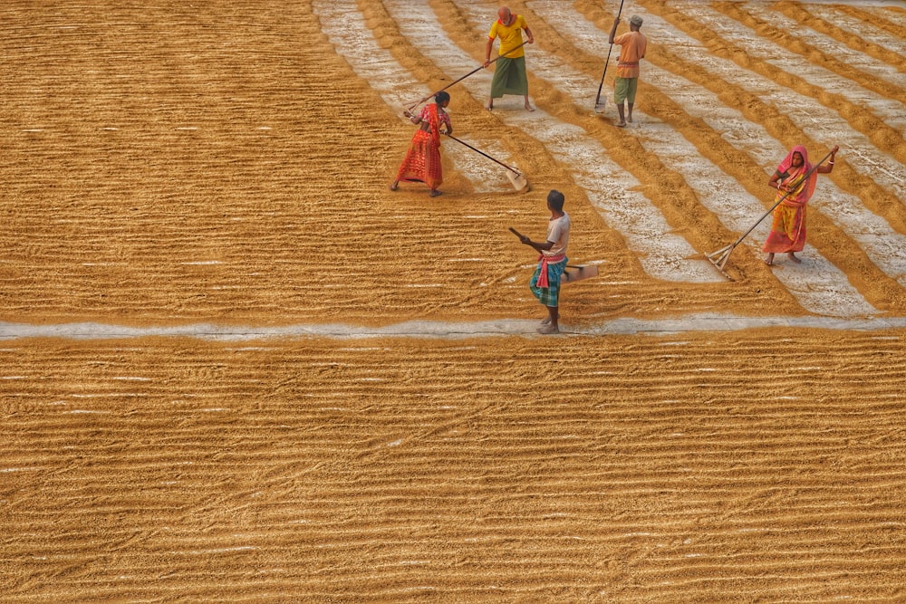 Un gruppo di persone in piedi in cima a un campo di erba secca