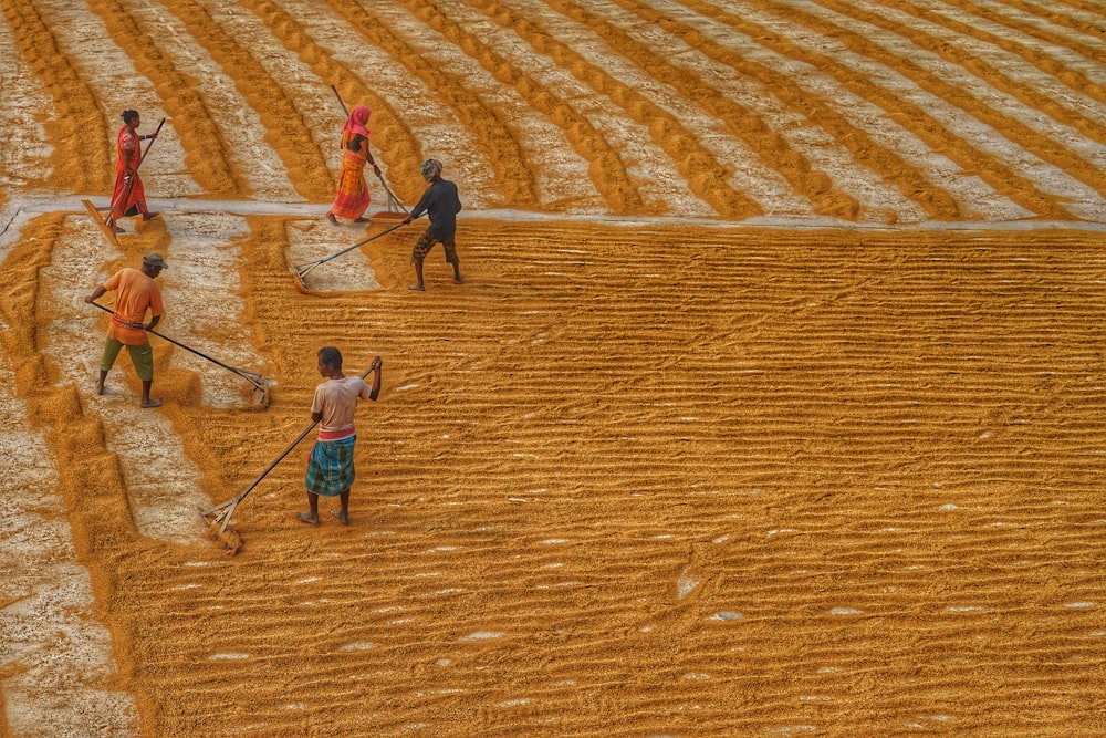 a group of people working in a field