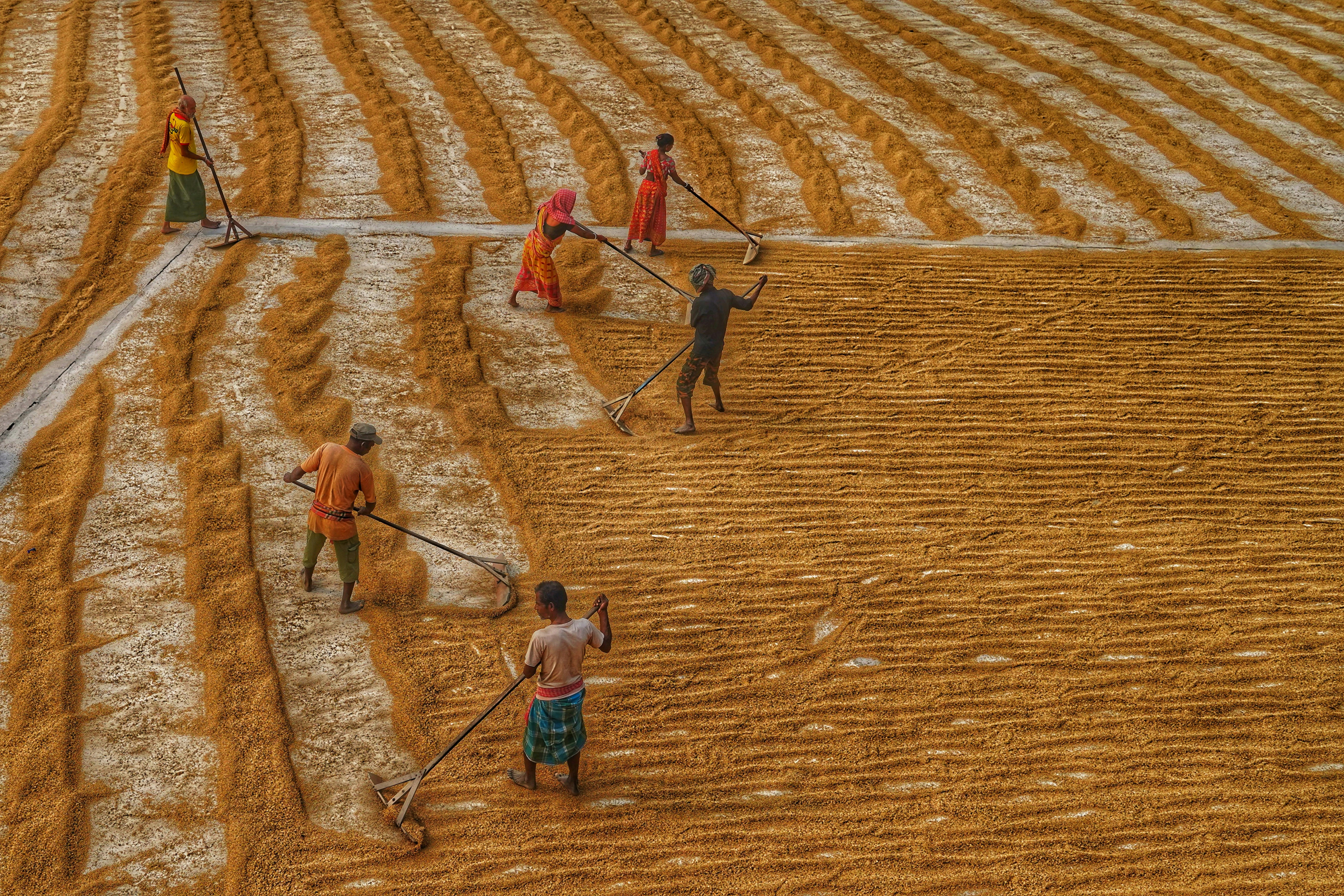 Photo by dibakar16roy