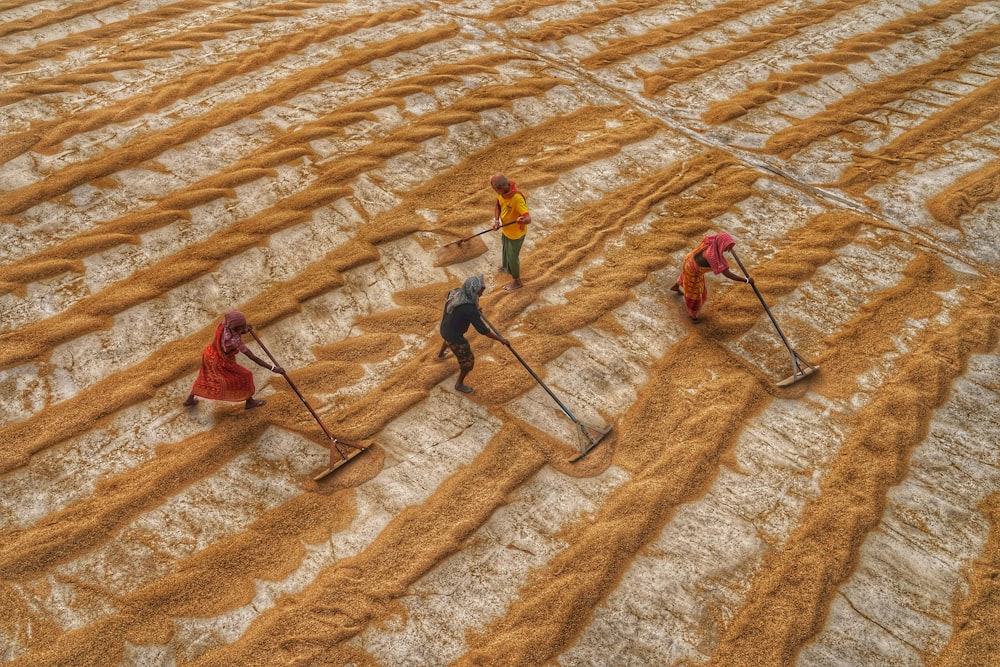 a group of people are working in a field