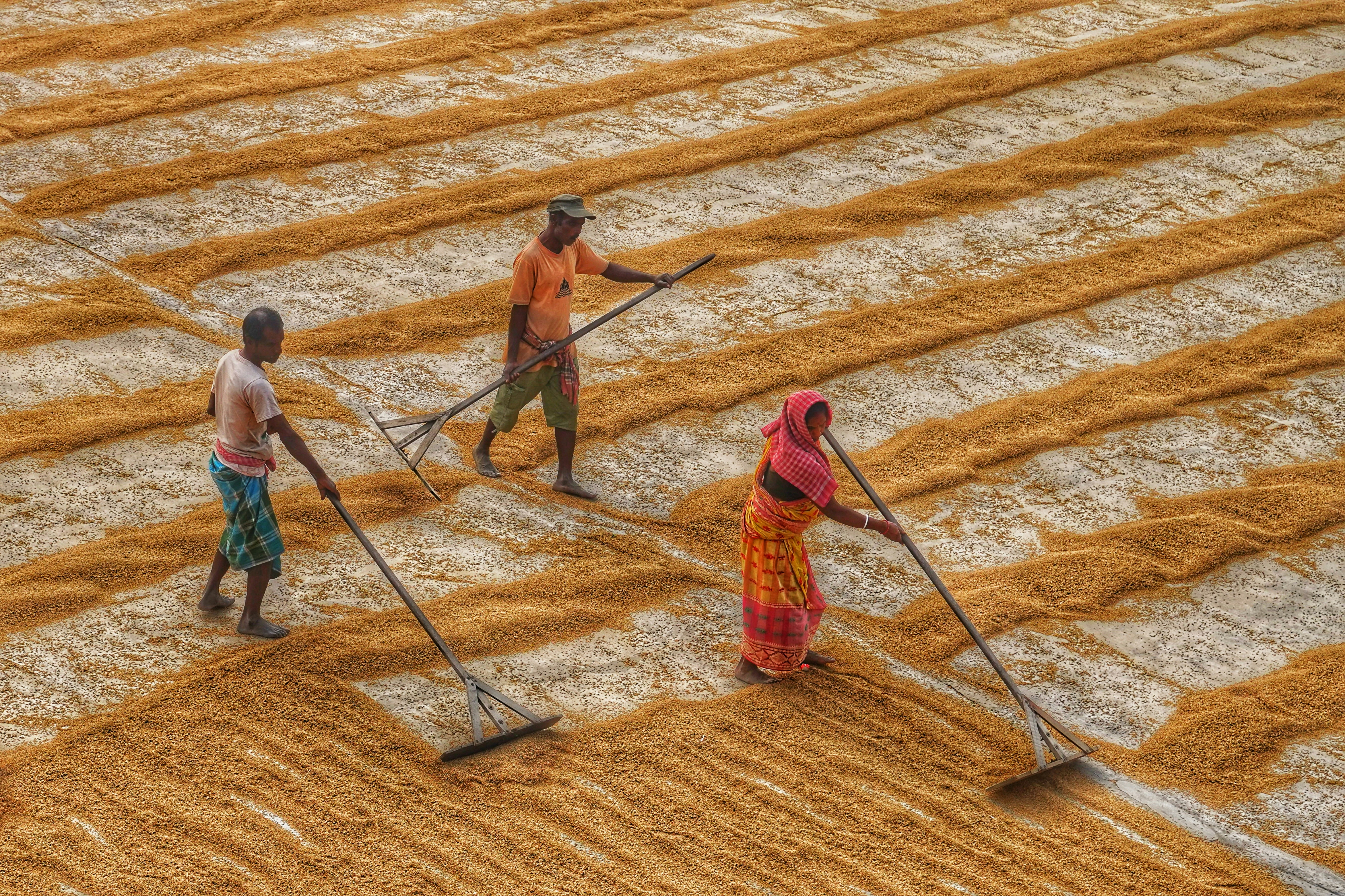 Photo by dibakar16roy