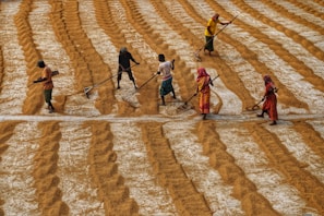 Farm workers harvesting crops with smiles on their faces