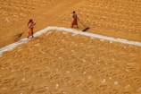Two people, dressed in colorful traditional attire, are working in a large field of grains. They are using long tools to spread or gather the grains in an organized pattern across the ground. The field is a vast area with a rich golden hue, and the workers are separated by pathways or sections of white marking.