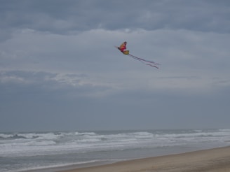 Close-up of colorful kite sails fluttering against a sunny beach backdrop.