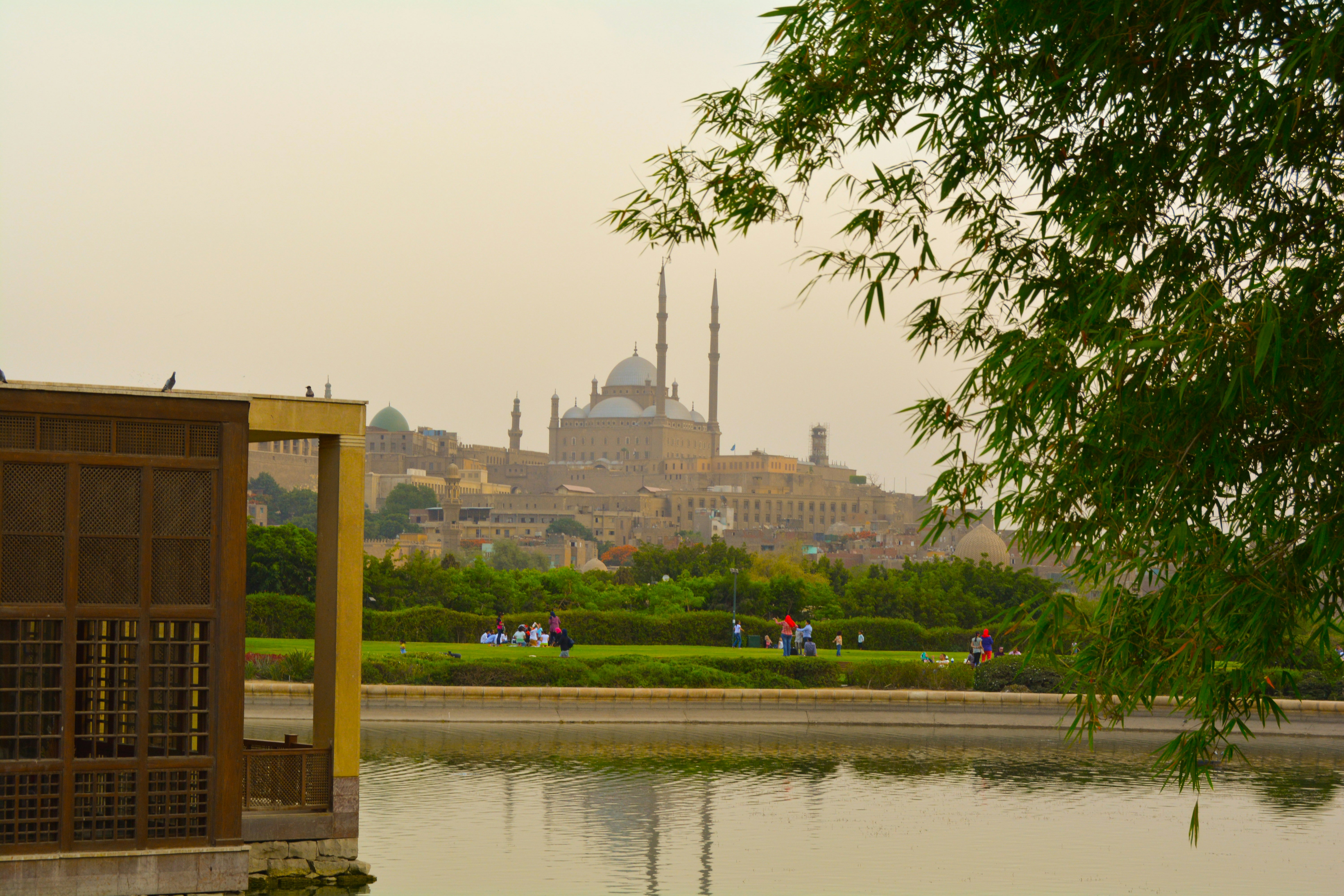 A view of a large building from across a pond