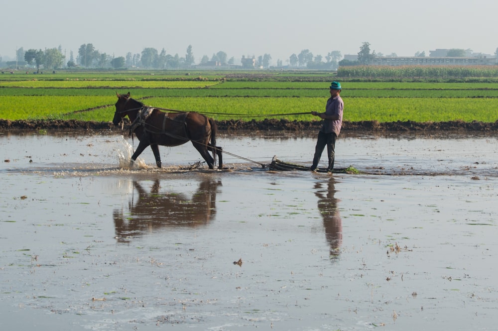 a man plowing a field with a horse